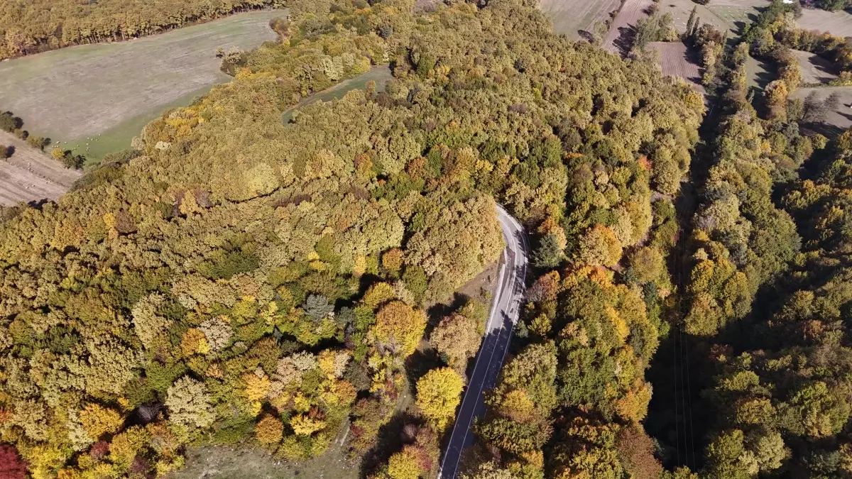 boluda sonbahar manzarasi mq9yPiie.jpg