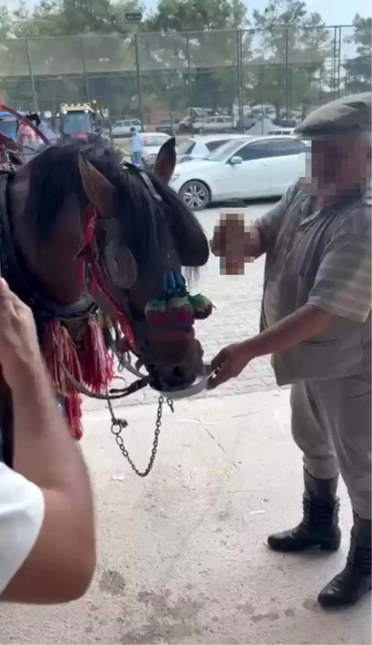 dugunde ata alkol verildi KhXiM5gy