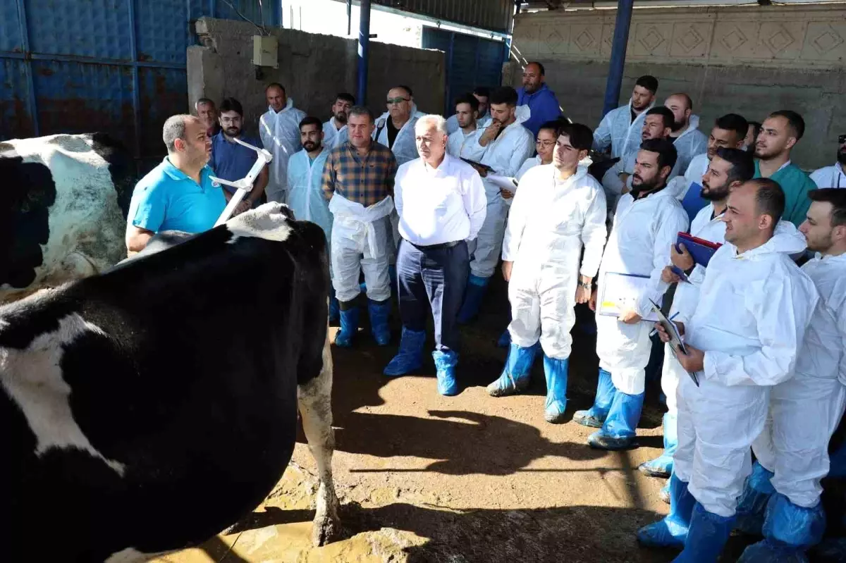 aksarayda sigir egitimi 59zfDhhW.jpg